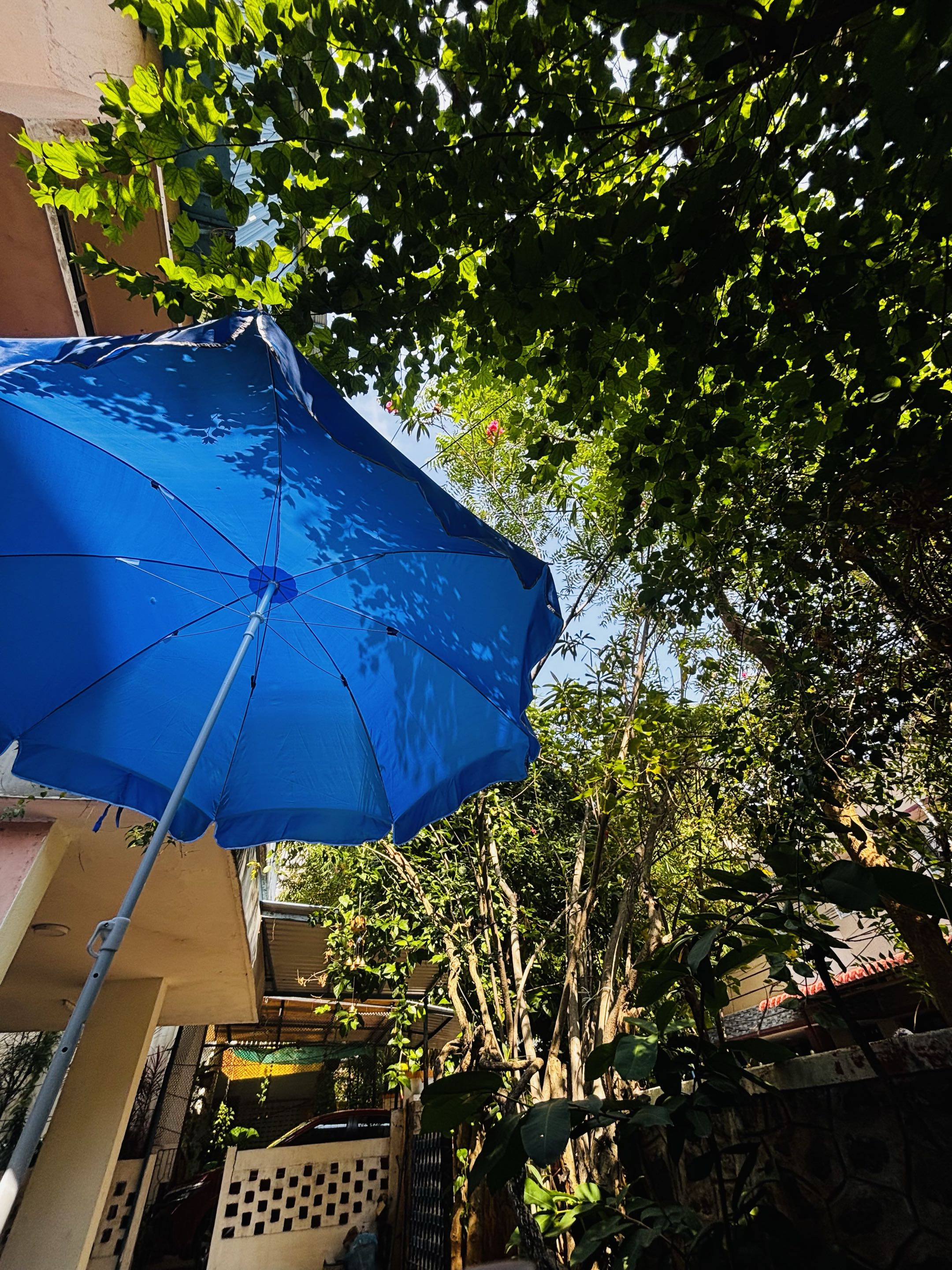 Interior Architecture